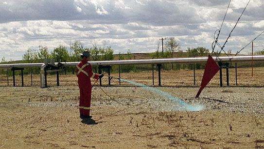 Terry's Lease Maintenance Trucks