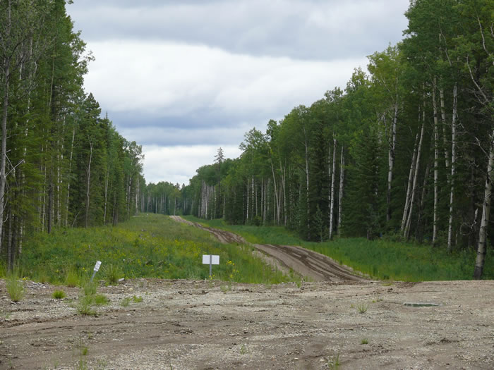 Lease Road for Weed Control