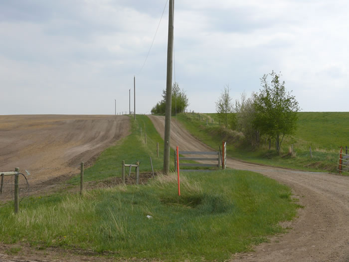 Lease Road Sprayed for Weeds