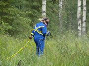Weed Control Sprayer at Work